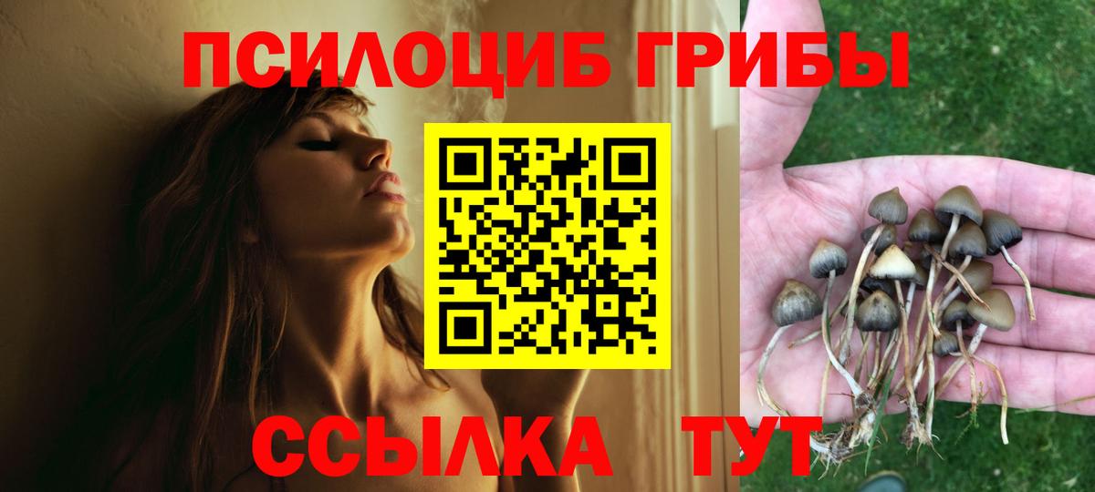 где купить наркотик  Вход с VPN  Галлюциногенные грибы MAGIC MUSHROOMS  Белая Калитва  Псилоцибиновые грибы мицелий 