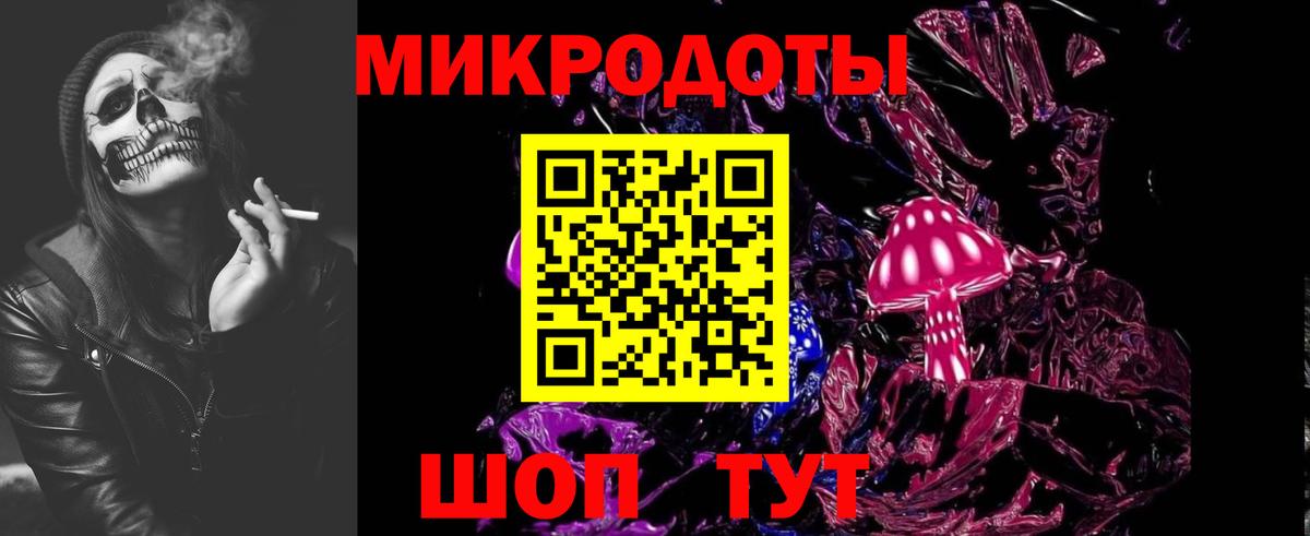 Галлюциногенные грибы Psilocybe Белая Калитва